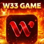 W33 Game